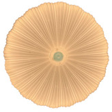 چراغ سقفی 72 وات سه حالته مودی طرح چتری